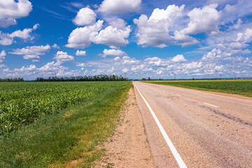 Summer landscape. Highway through a field against a blue sky with white cumulus clouds. View of an asphalt road through a field with green grass.