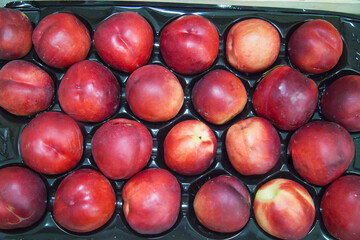 Cherry-colored nectarine fruits laid out in a row. Fruits nuts vegetables berries useful products agriculture.