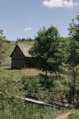 Fototapeta na wymiar old wooden house in forest