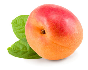 apricot fruit with green leaf isolated on white background. clipping path