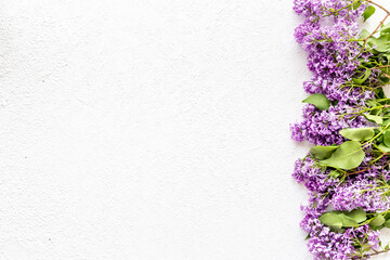 Purple spring flowers background. Lilac branches flat lay