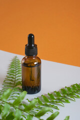 fern leaves and brown glass dropper bottle on gray and brown background, serum or cosmetic oil in a bottle with dropper