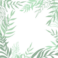 Fototapeta premium Summer tropical vector design for cards, poster or flyer with exotic palm tree leaves