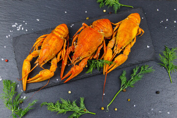 Red boiled crayfish with dill and spices on black slate background. Top view