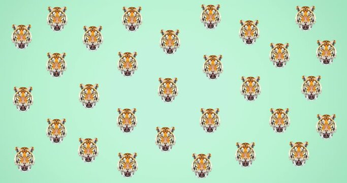 Animation of multiple tiger heads on green background