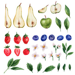 Watercolor clipart with fruits and berries