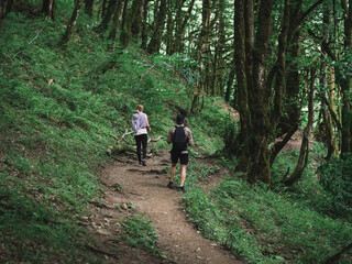 Hiking in the mountains through the wild forest. Tourist routes