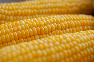 蒸したトウモロコシのクロースアップ イメージ スイートコーン 日本