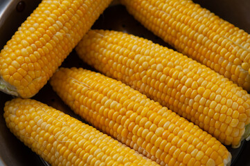 蒸して調理された鮮やかな色のトウモロコシ スイートコーン 日本