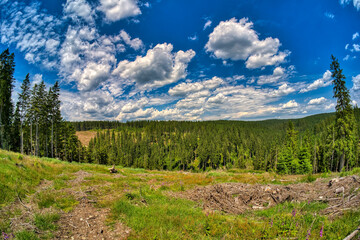 hiking in Neuhaus am Rennweg