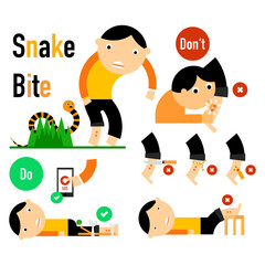 cartoon  of snake bite  first  aid.