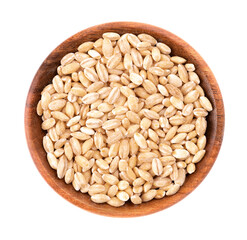 Pearl barley grains in wooden bowl, isolated on white background. Barley seed close up. Top view.