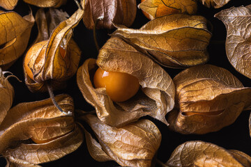 Pattern of physalis on dark table