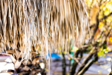 Closeup abstract view of restaurant straw tiki bar roof building palm trees in Hollywood beach...