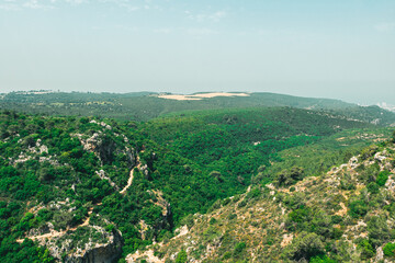 Beautiful green view from Carmel Mountain in Israel - obrazy, fototapety, plakaty