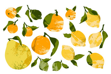 Juicy lemon, lime, mandarin, orange, clementine, bergamot, pomelo. Fresh citrus fruit, healthy organic food. Ripe fruits with leaves. Vector flat cartoon botanical illustration, for logo, stamp, mark