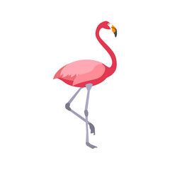 Flat flamingo on white background
