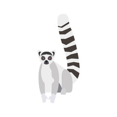 Flat lemur on white background