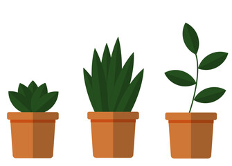 potted plants with green leaf