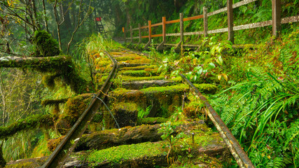 Taiwan, Yilan County, Taiping Mountain, Jianqing Old Road, famous, tourist attraction