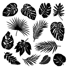 Set of silhouettes of tropical leaves.