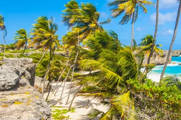 Raamstickers Bottom Bay beach in Barbados © Fyle