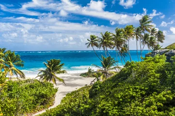 Poster Bottom Bay beach in Barbados © Fyle