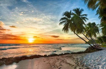 Schilderijen op glas Mooie levendige zonsondergang over de kokospalm in Barbados © Fyle