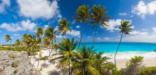 Raamstickers Panoramic photo of Bottom Bay beach in Barbados © Fyle
