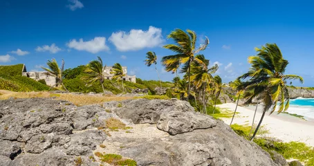 Foto op Plexiglas anti-reflex Harrismith Beach on the Barbados in the Caribbean © Fyle