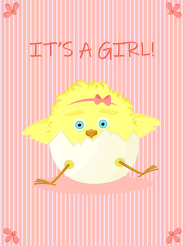 Postcard with cute chicken is a girl