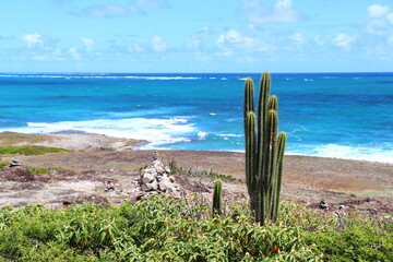 Paysages Cap Macré Martinique Antilles Françaises Caraïbes