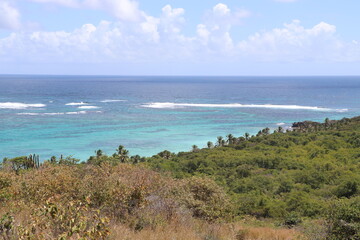 Fototapeta na wymiar Paysages Cap Macré Martinique Antilles Françaises Caraïbes