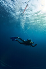 Obraz na płótnie Canvas scuba diving in the sea