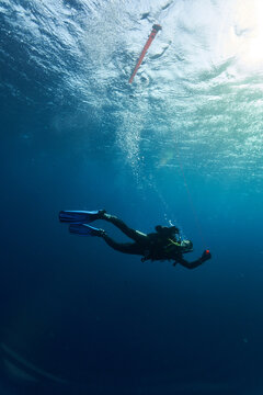 scuba diving in the sea