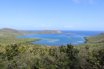 Paysages Presqu'île de la Caravelle Martinique Antilles Françaises