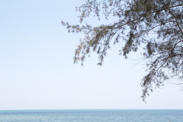 Fototapeta na wymiar beach sea view background landscape