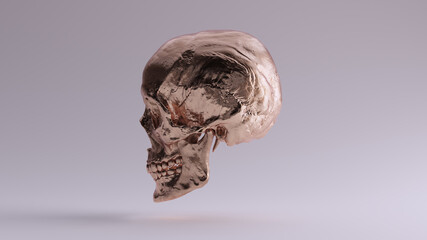 Bronze Human Female Skull Medical Anatomical with Teeth and Jaw Bone Left Side 3d illustration render