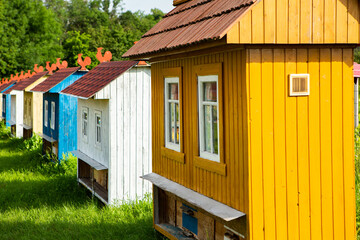 Fototapeta na wymiar Colored bee houses on green meadow in countryside. Honey bee hives. Beautiful small decorative houses.