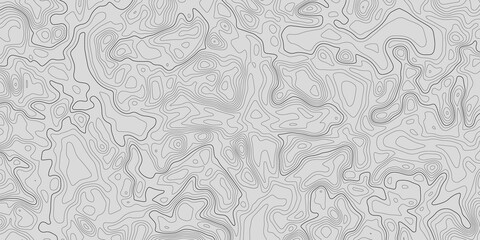 Abstract topographic lines on white background. Topographic lines contour concept. Geographic map grid. Vector illustration.
