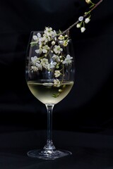 Composition of delicate small white wild plum flowers inside a thin glass goblet with white wine