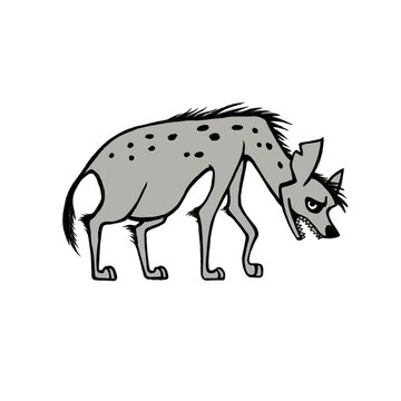 An illustration of a hyena
