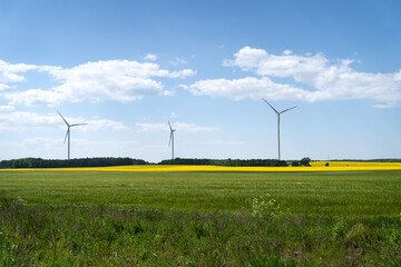 Energia odnawialna - wiatraki na polu - obrazy, fototapety, plakaty