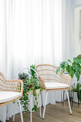 simple and minimal home decoration using rattan chair and indoor plant