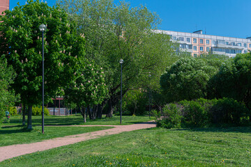 Green park with grass, trees, walking path, footpath, trail with lamps, street lanterns in front of a multi-storey buildings, Russia