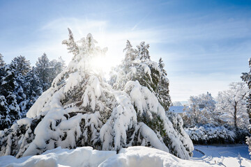 Deutschland, Baden-Württemberg, Bodensee, Überlingen am Bodensee, Winterlandschaft, Stadtpark