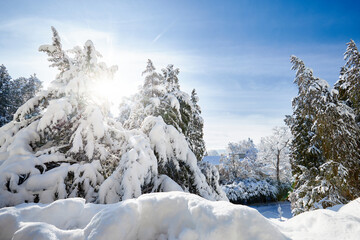 Deutschland, Baden-Württemberg, Bodensee, Überlingen am Bodensee, Winterlandschaft, Stadtpark