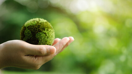 Close up of hands holding the earth on a green background. protect nature. Save Earth. concept of...
