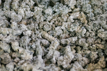 Close up top view: plastic recycling, renewable resource - heap of secondary soft plastic granules - polystyrene, polyethylene, polypropylene pellets at exhibition, trade show