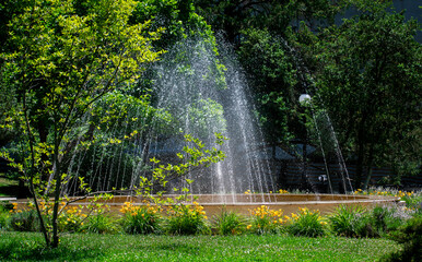 Naklejka premium Artesian fountain in a public park. A warm summer day